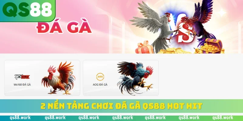 2 nền tảng chơi đá gà QS88 hot hit