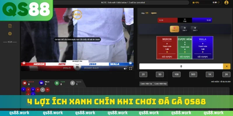 4 lợi ích xanh chín khi chơi đá gà QS88