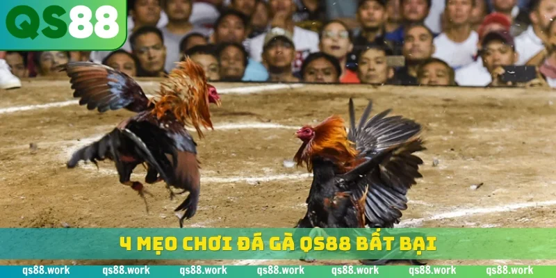 4 mẹo chơi đá gà QS88 bất bại